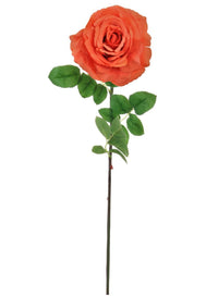 Tudor Rose (long Stem)