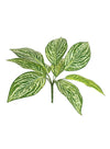 Printed Zebra Print Leaf Bunch (small)