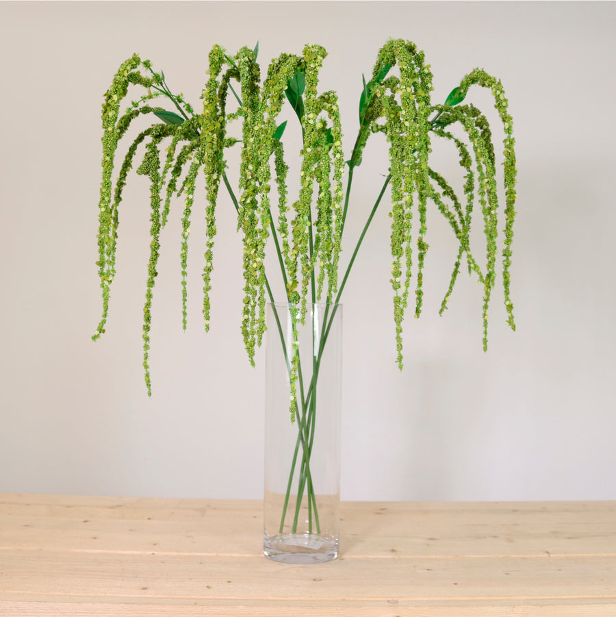 Amaranthus Spray