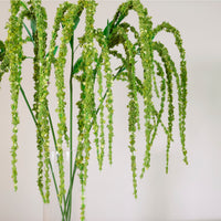 Amaranthus Spray