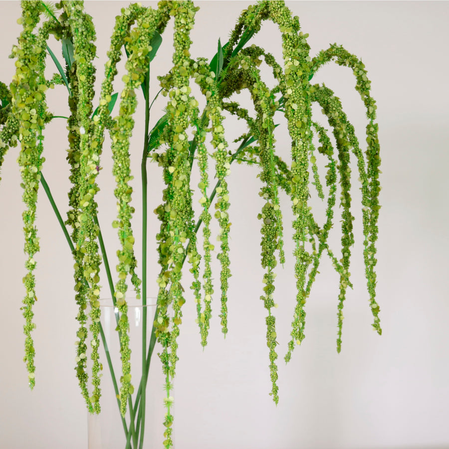 Amaranthus Spray