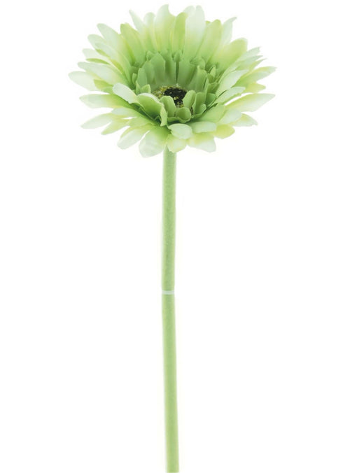 Small Gerbera Stem