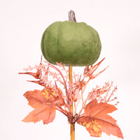 Autumn Wild Velvet Pumpkin (medium)