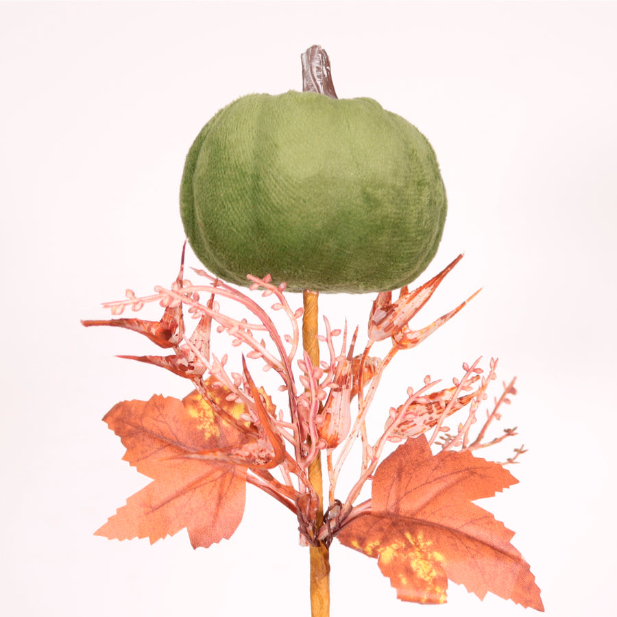 Autumn Wild Velvet Pumpkin (medium)