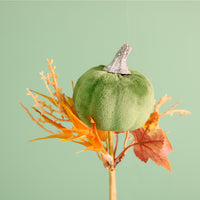 Autumn Wild Velvet Pumpkin (medium)