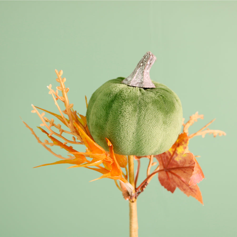 Autumn Wild Velvet Pumpkin (medium)