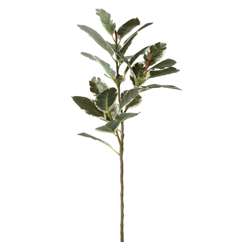 Rubber Leaf Spray (105cm Large)