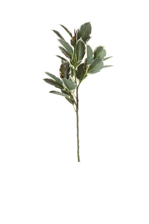Rubber Leaf Spray (large)