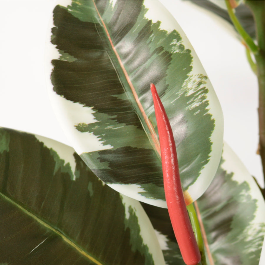 Rubber Leaf Spray (105cm Large)