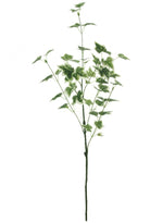 Ivy Spray (medium)
