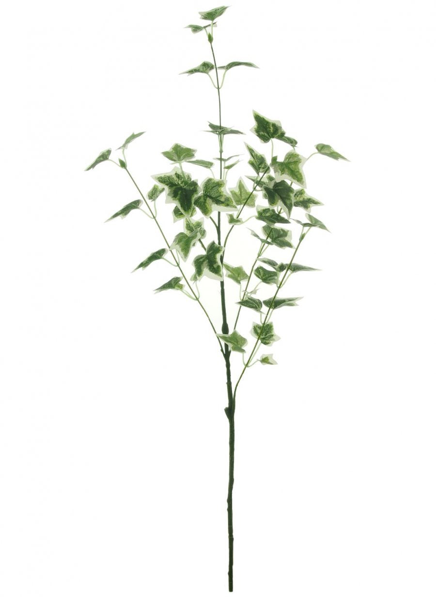 Ivy Spray (medium)