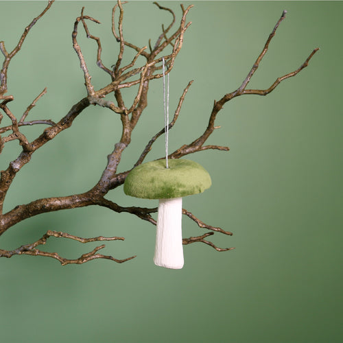 Velvet Hanging Mushroom