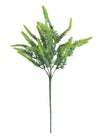 Sword Fern Bunch (long stem)