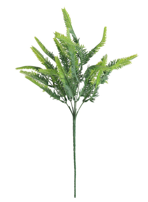 Sword Fern Bunch (long stem)