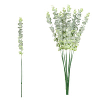 Dusted Euc Spray (10x Stems)