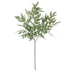Soft Ruscus Leaf Spray