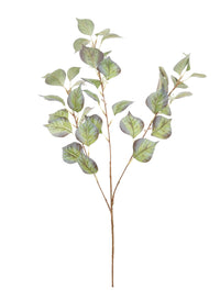 Noah Leaf Spray