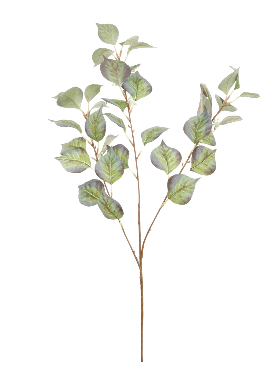Noah Leaf Spray