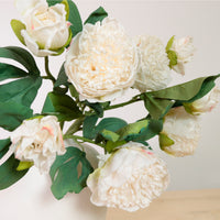 Dried Touch Ruffled Peony