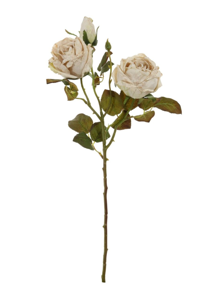 Dried Touch Valera Rose Spray