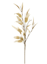 Dried Touch Slim Leaf Branch