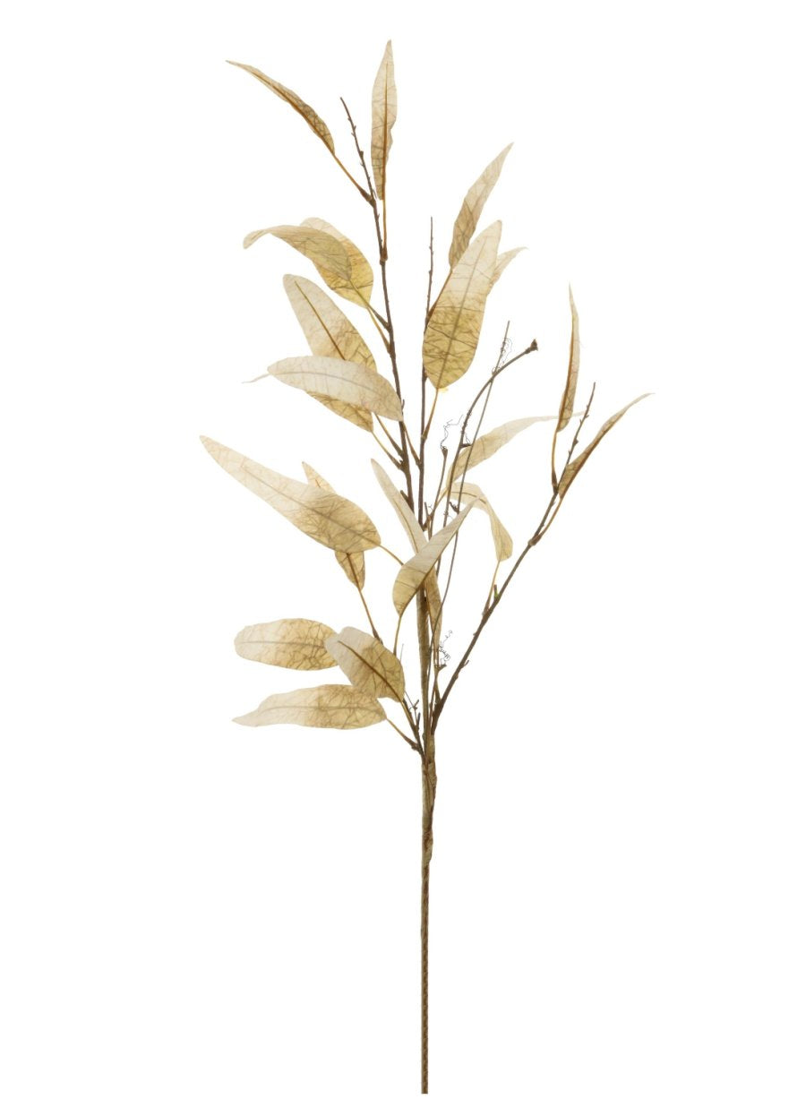 Dried Touch Slim Leaf Branch