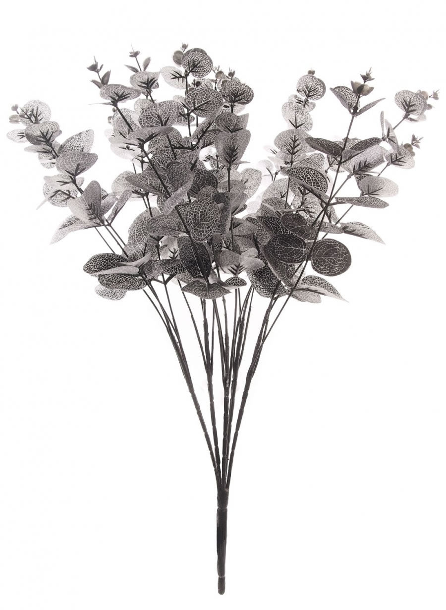 Eucalyptus Bunch (Short Stem)
