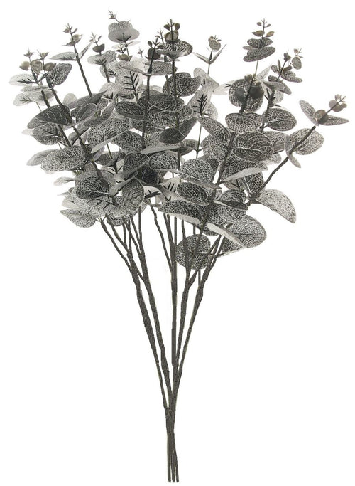 Eucalyptus Bunch (Long Stem)