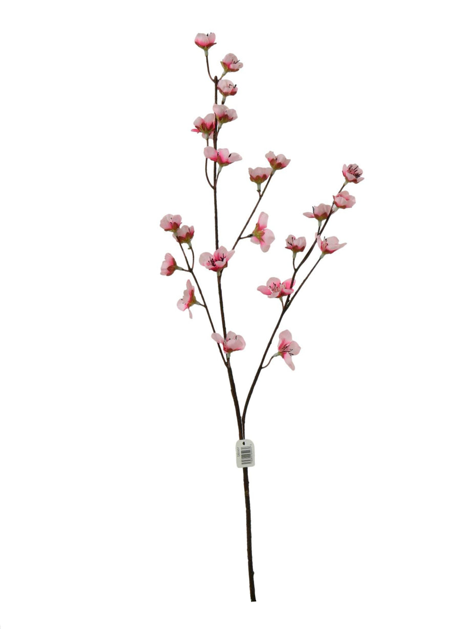 Japanese Cherry Blossom