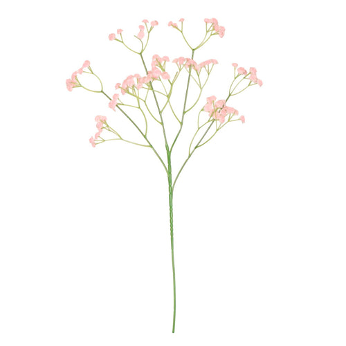 Fluffy Gypsophilia Spray