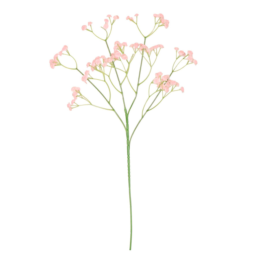 Fluffy Gypsophilia Spray