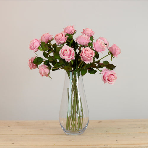 Amira Rose Stem