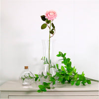 Amira Rose Stem