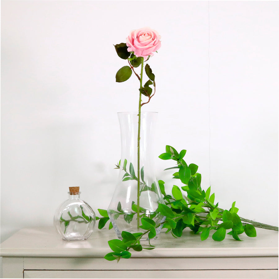 Amira Rose Stem