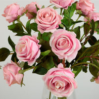 Amira Rose Stem