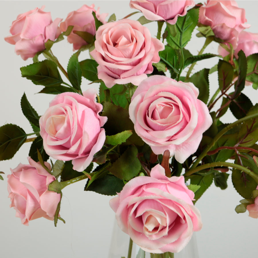 Amira Rose Stem