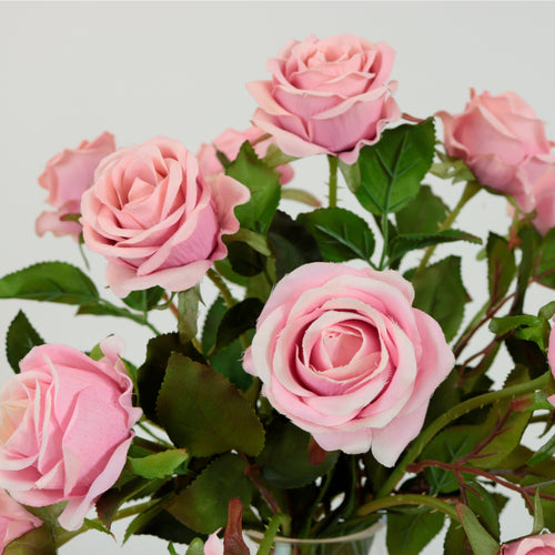 Amira Rose Stem