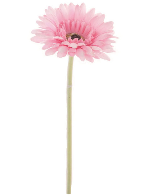 Small Gerbera Stem