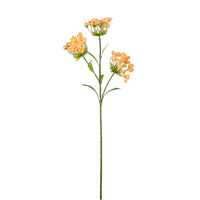 Fairybell Allium Spray