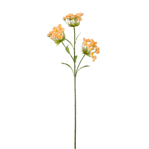 Fairybell Allium Spray