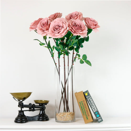 Tudor Rose (long Stem)