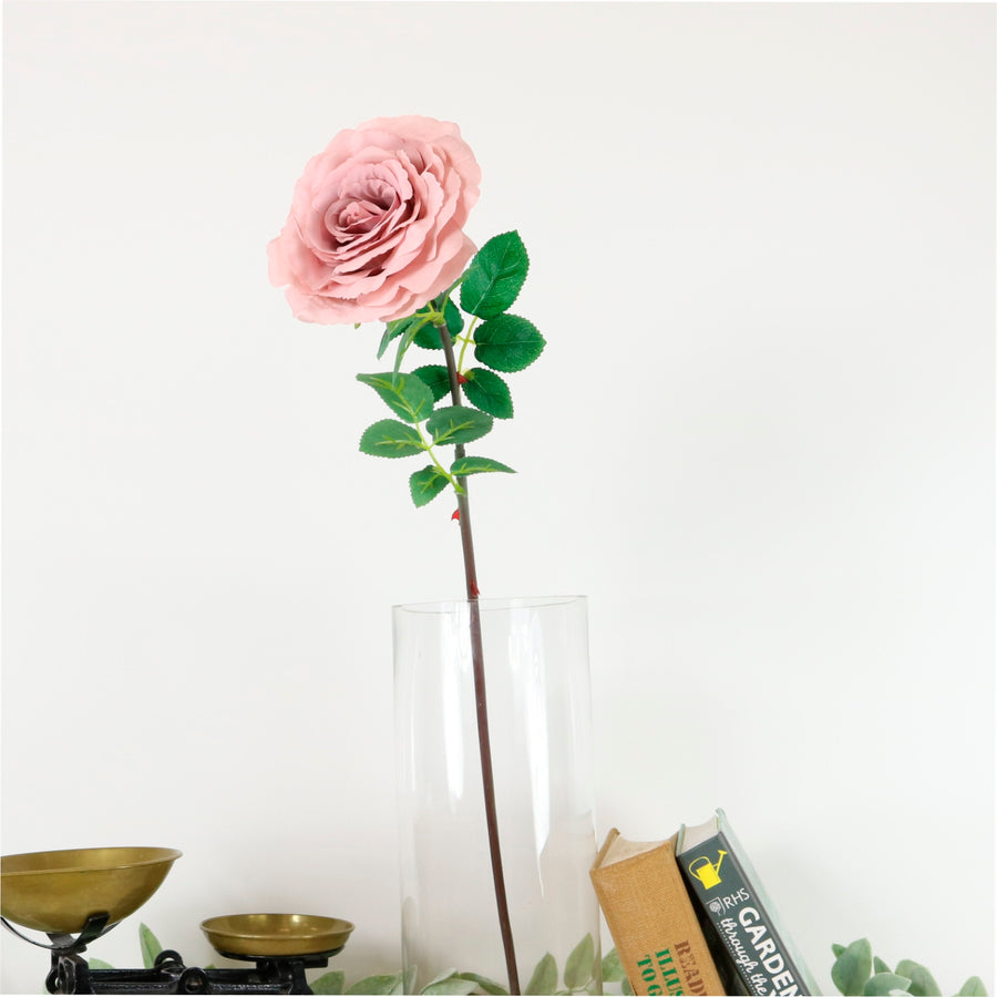 Tudor Rose (long Stem)