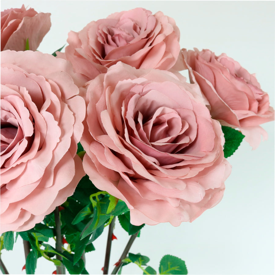 Tudor Rose (long Stem)