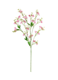 Florence Spray