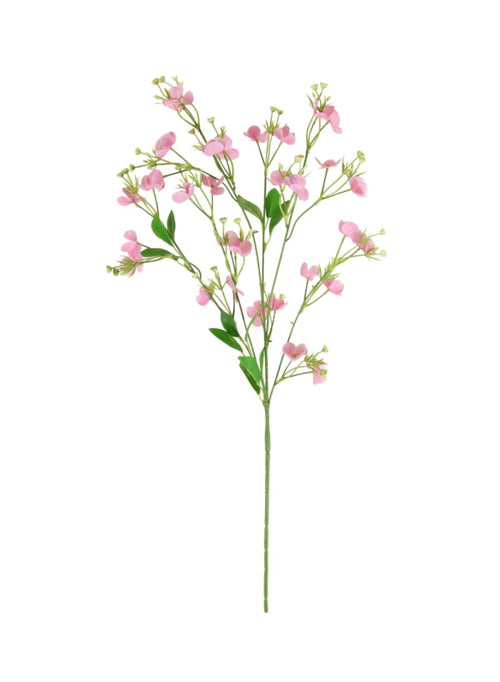 Florence Spray