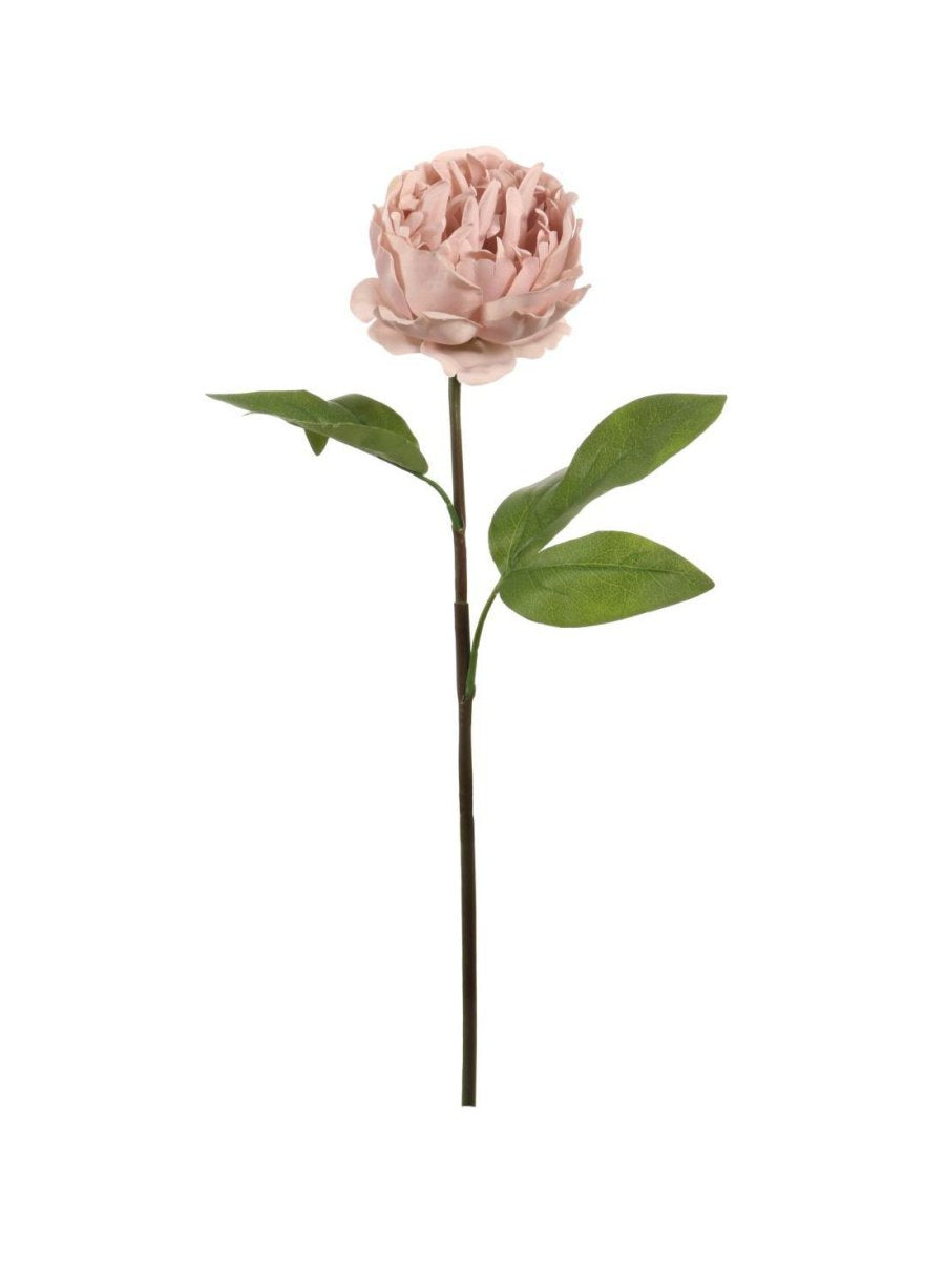 Closed Ball Peony