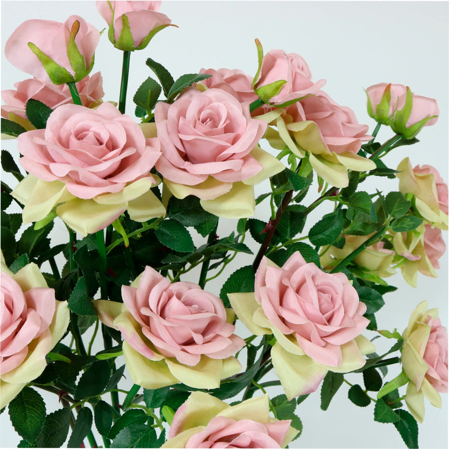 Open Rose Spray