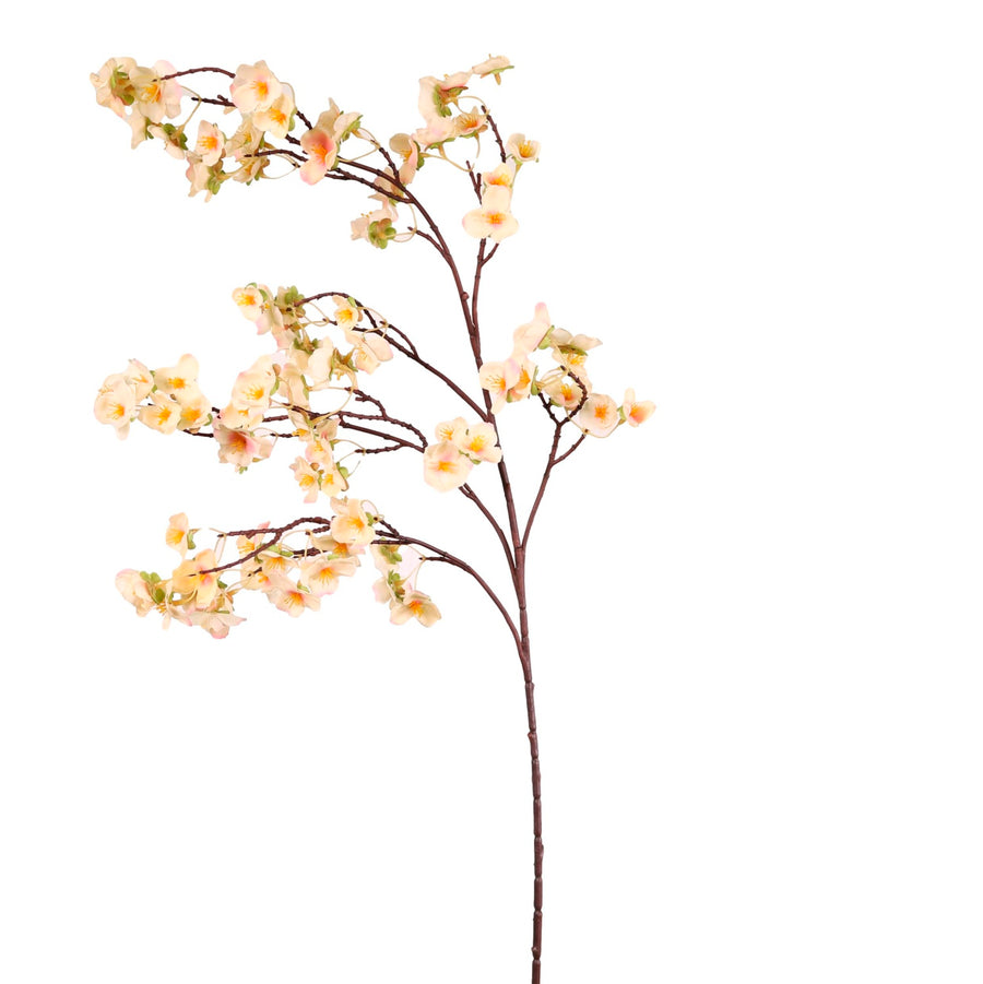 Plum Blossom