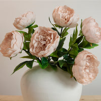 Audrey Peony