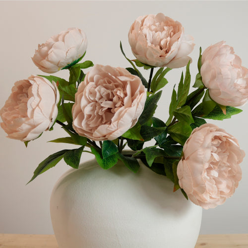 Audrey Peony